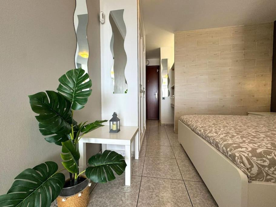Palm Garden Apartment مورو ذيل خابلِ المظهر الخارجي الصورة