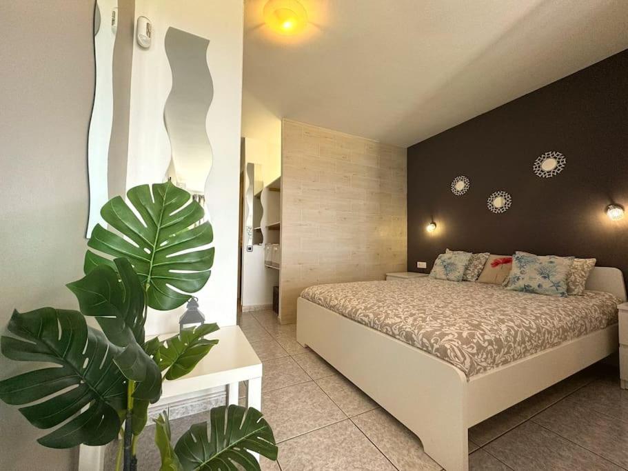 Palm Garden Apartment مورو ذيل خابلِ المظهر الخارجي الصورة
