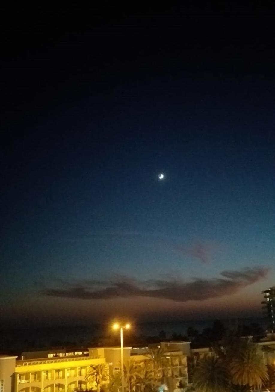 Palm Garden Apartment مورو ذيل خابلِ المظهر الخارجي الصورة